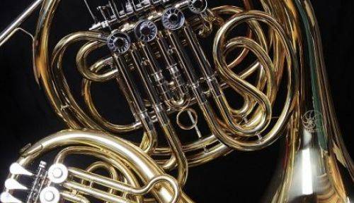 Instruments de Musique Nautile