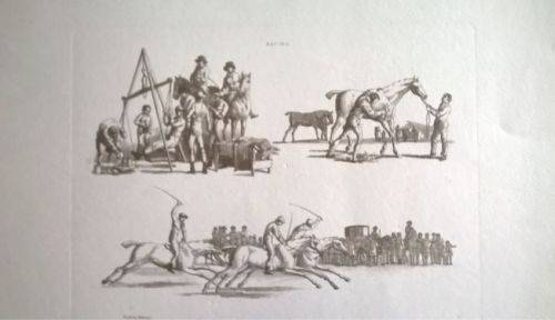 Gravure "Racing" - Courses - Equitation