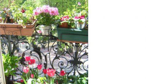 Une photo de l’annonce