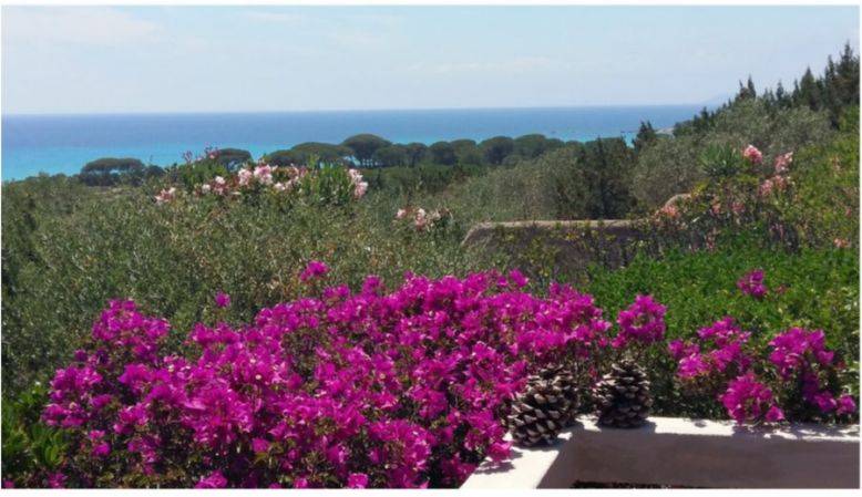 Loue charmante maison plage Palombaggia (20) - Corse - 5 couchages ou plus