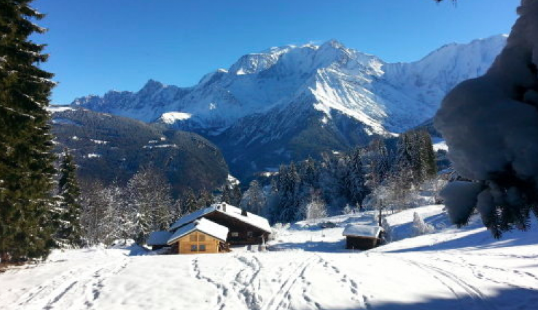Loue chalet face au Mt Blanc - 16 couchages
