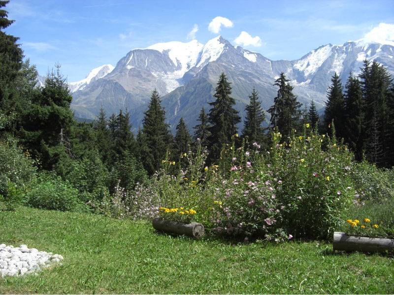 Loue Le Bettex (74) - Appartement 6 couchages - vue panoramique Mont-Blanc - Saint-Gervais-les-Bains (74)