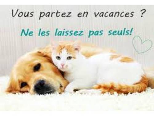 Propose service petsitters - Versailles et alentours