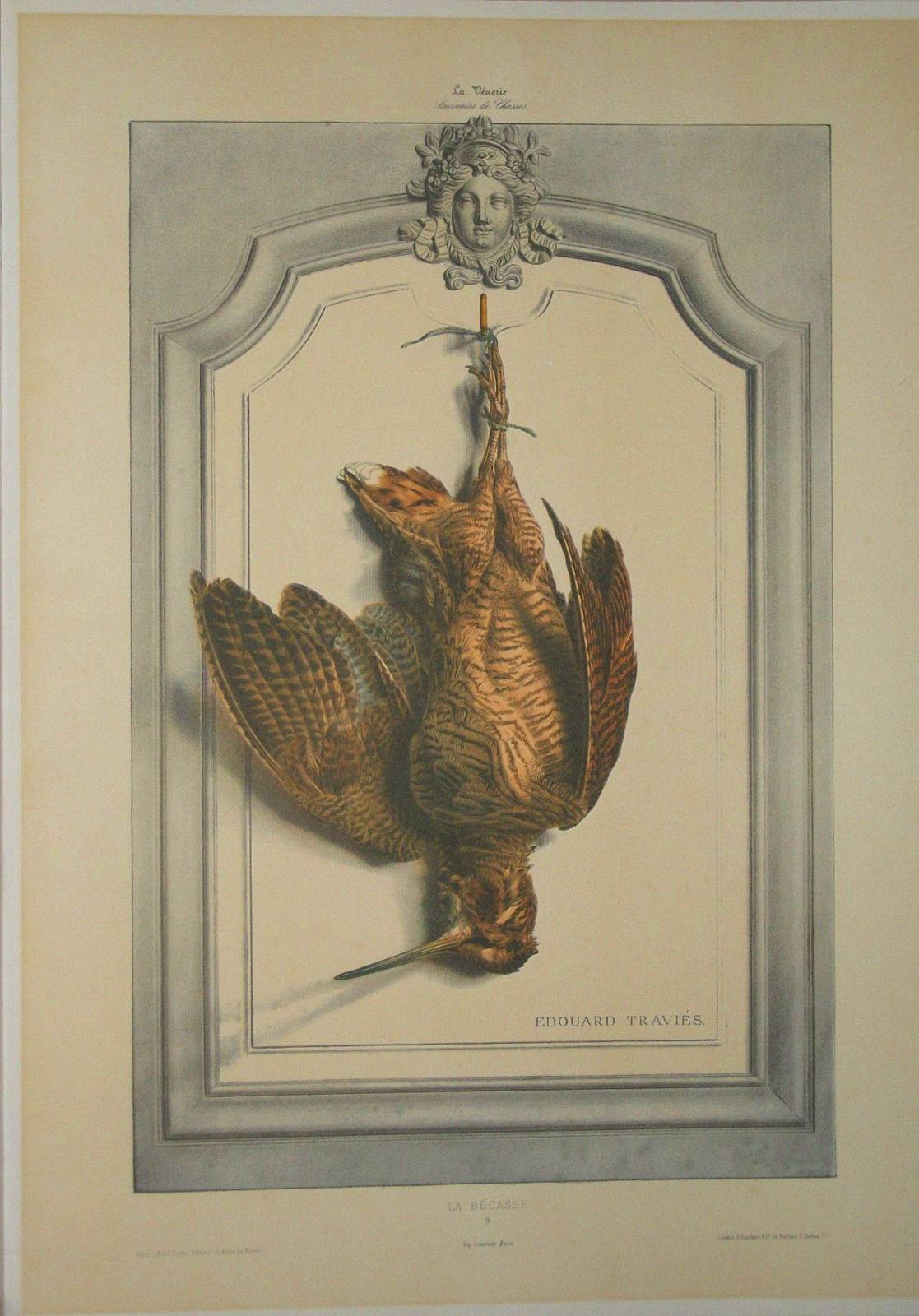 La Becasse d’Edouard Travies - Chasse - Vénerie