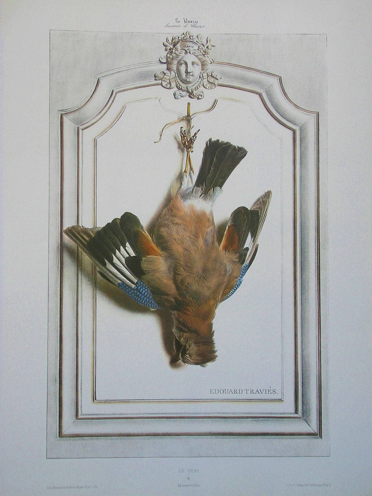Le geai d' Edouard Travies - Chasse - Vénerie -