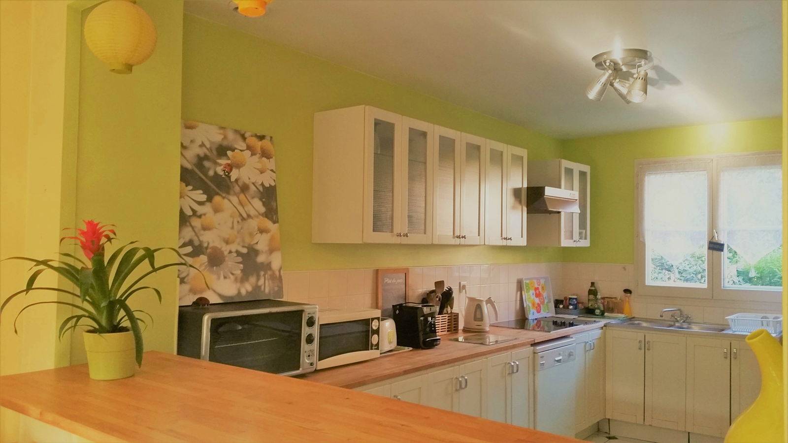 Une photo de l’annonce