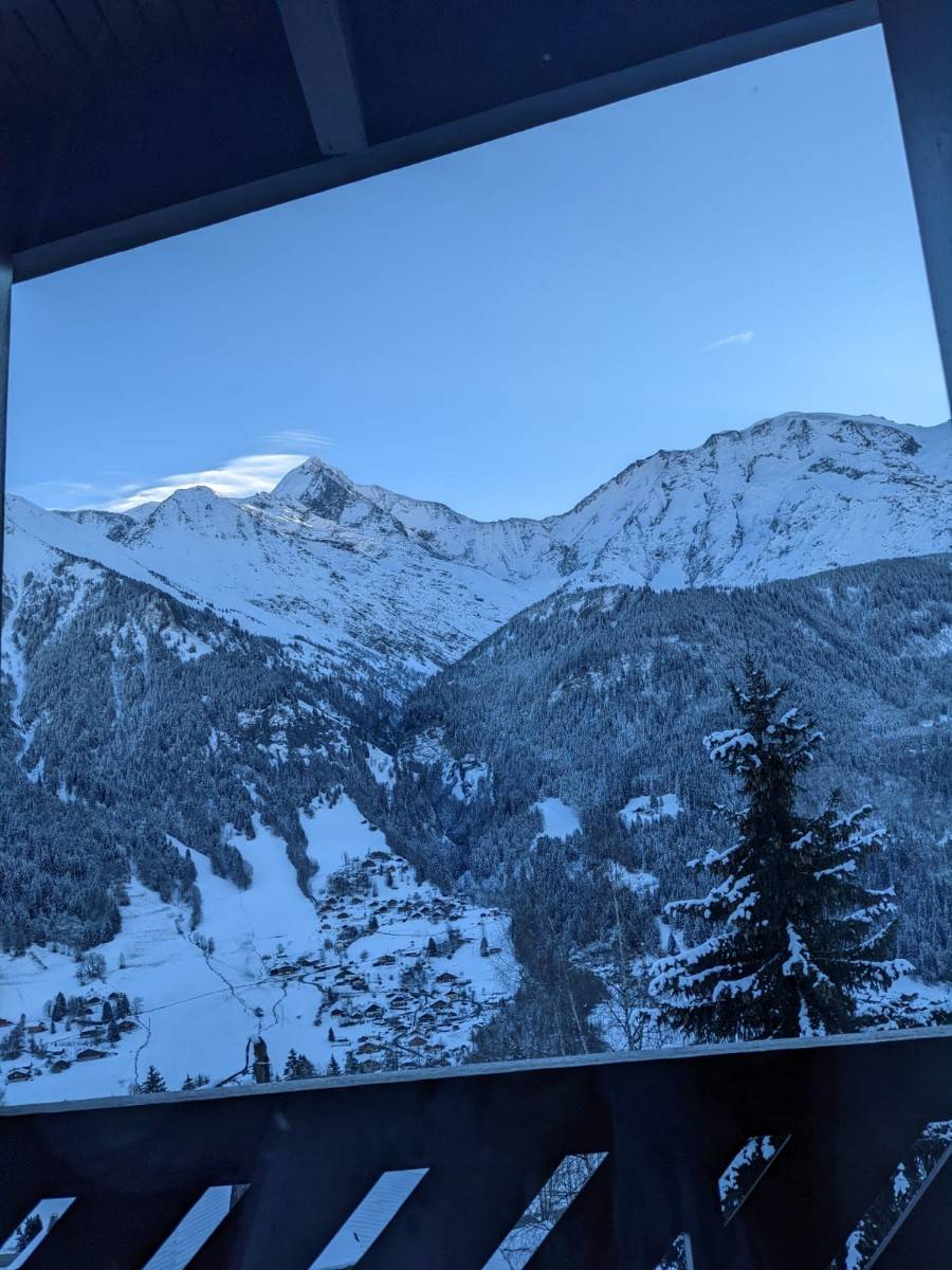 Loue chalet avec vue exceptionnelle sur la chaîne du Mont Blanc - 12 couchages - Saint-Gervais-les-Bains (74)