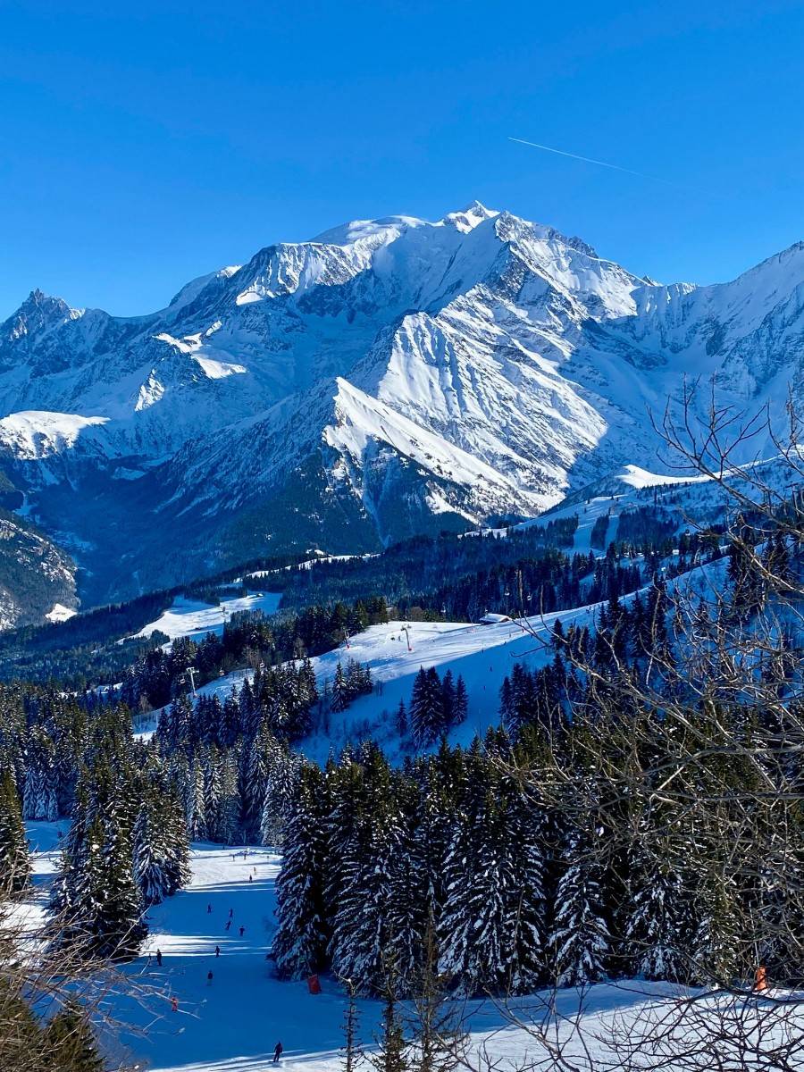 Loue chalet avec vue exceptionnelle sur la chaîne du Mont Blanc - 12 couchages - Saint-Gervais-les-Bains (74)