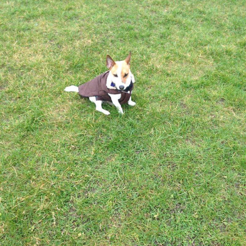 Propose babysitting pour garde d’enfants