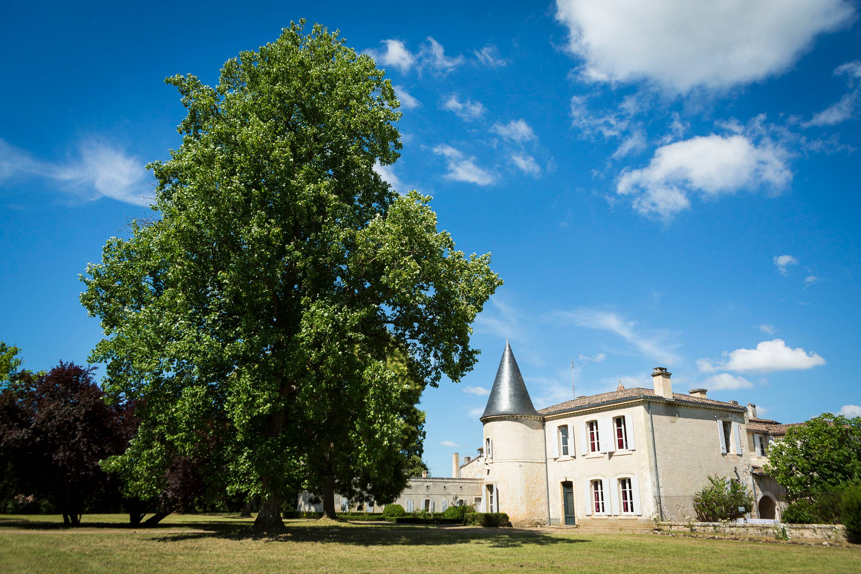 Magnifique Château parc arboré, 14 couchages 7 chambres, en bord de Dordogne, baignades, canoe kayak