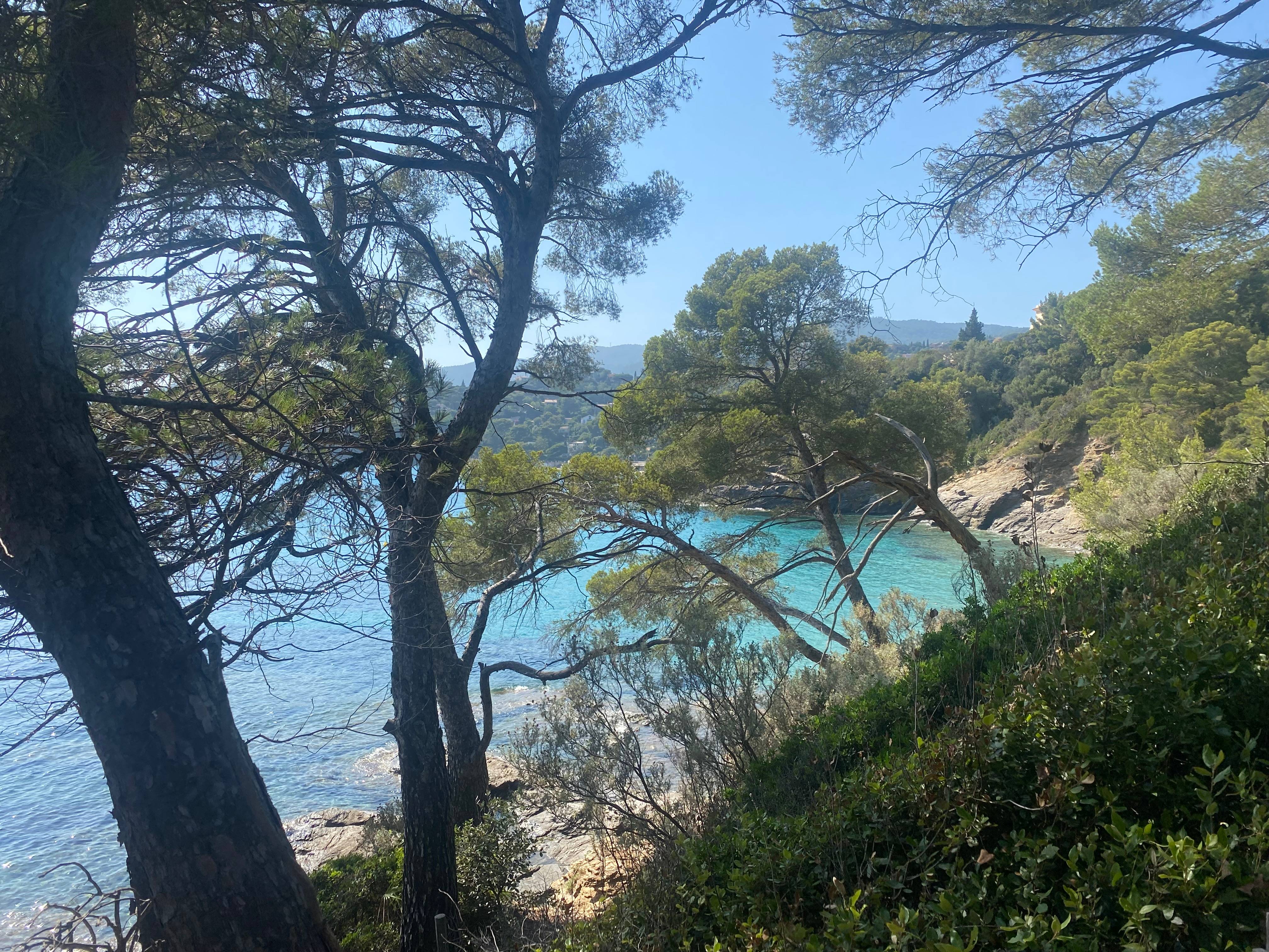 Agnès