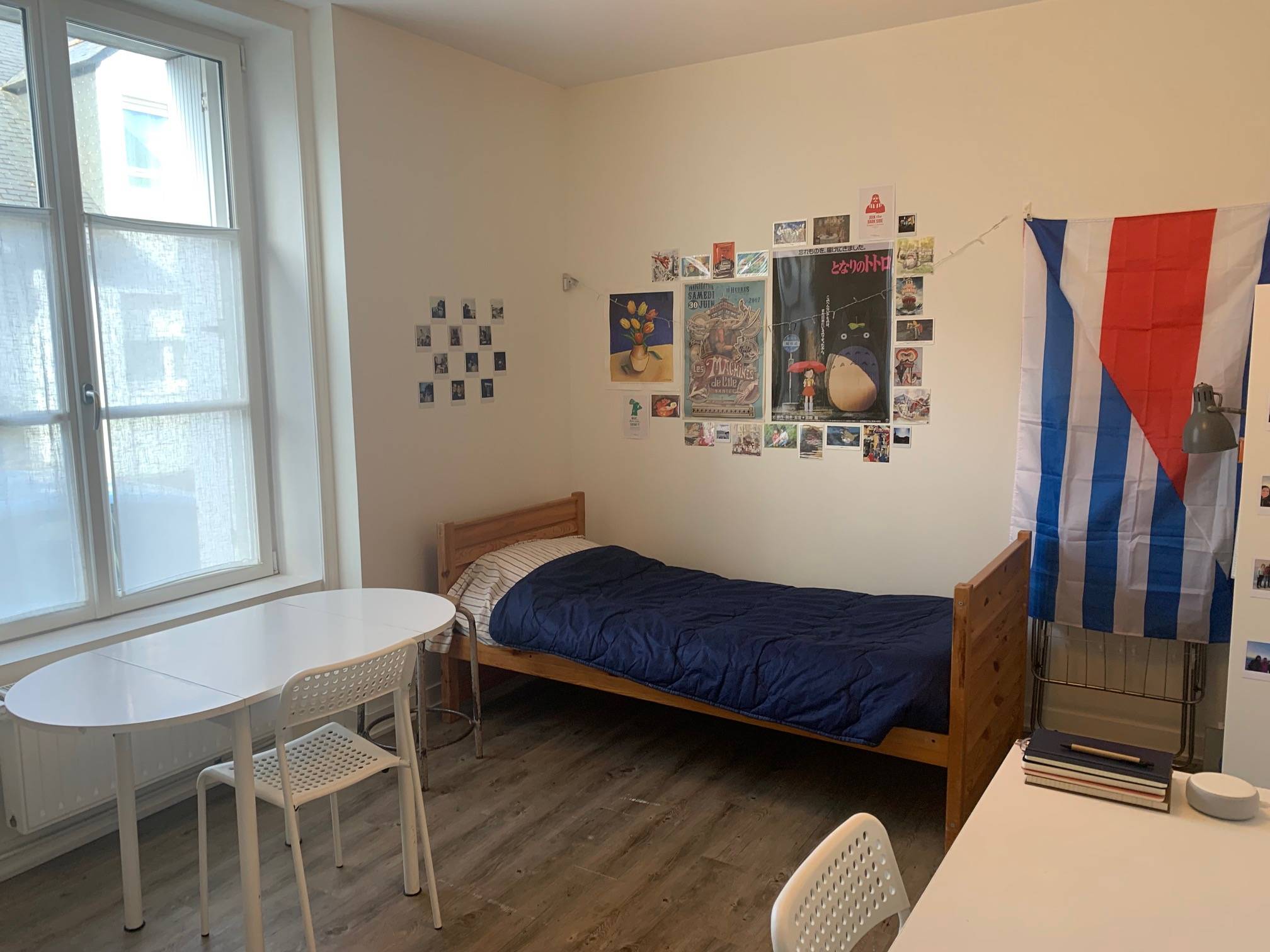 Une photo de l’annonce