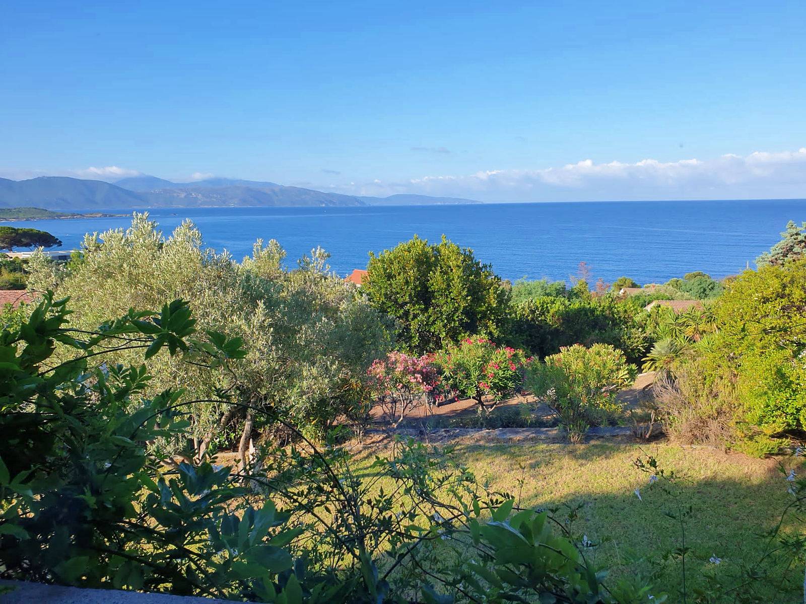 Loue Très belle villa de charme en pierres avec piscine - 7 couchages - Vico (20)
