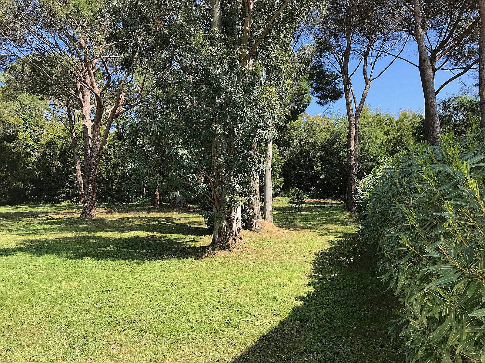 Une photo de l’annonce de location de vacances