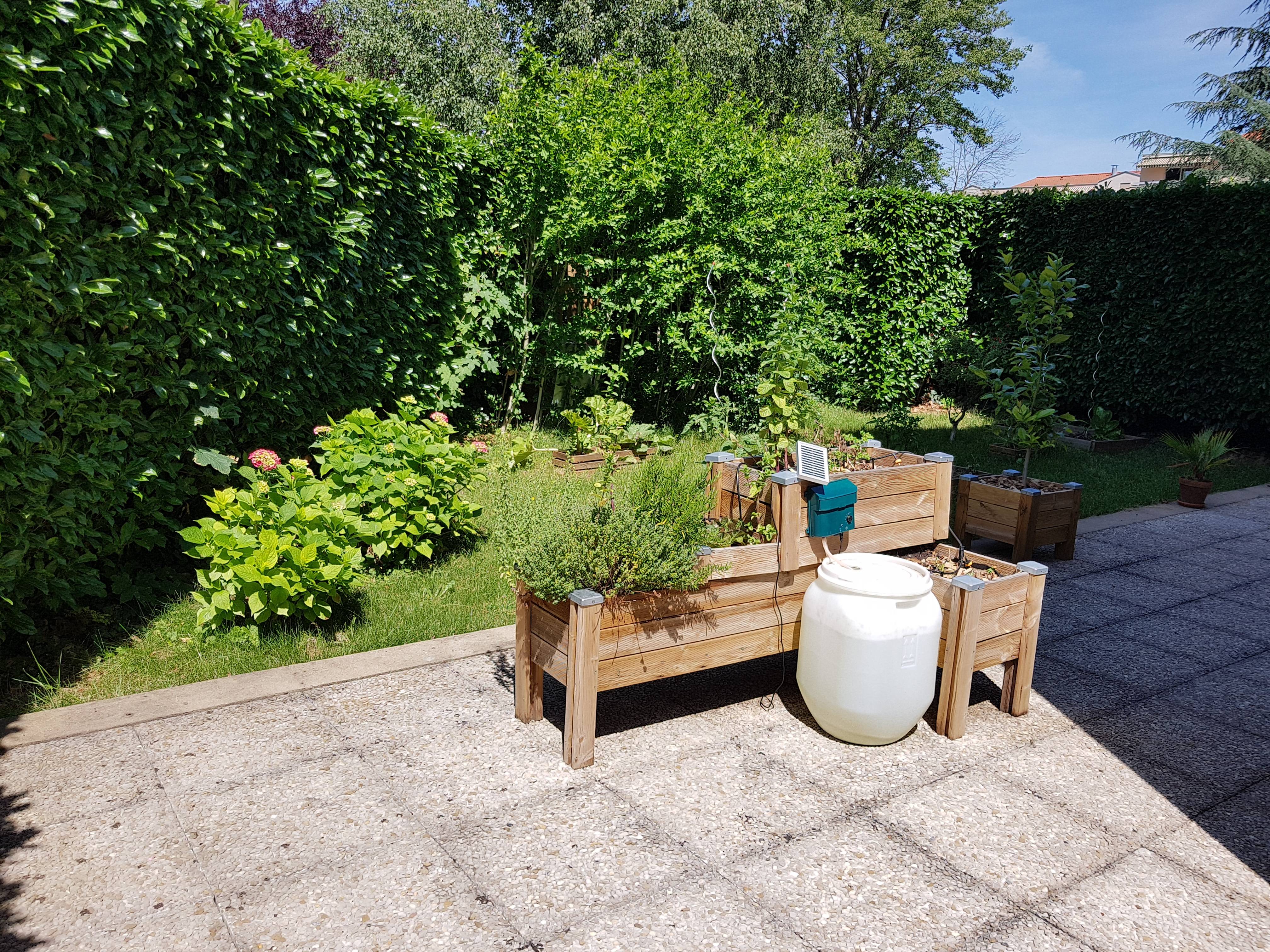 Une photo de l’annonce