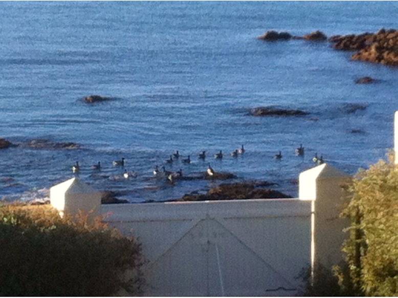 Une photo de l’annonce de location de vacances