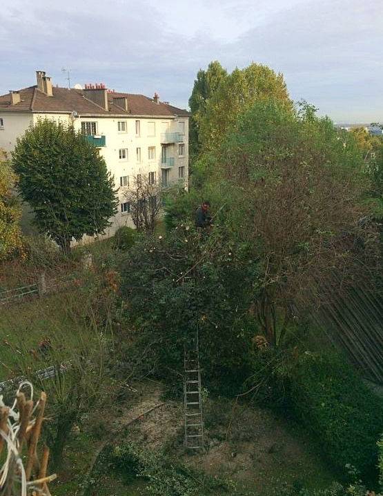 Une photo de l’annonce