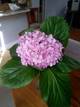 Ghislaine M.