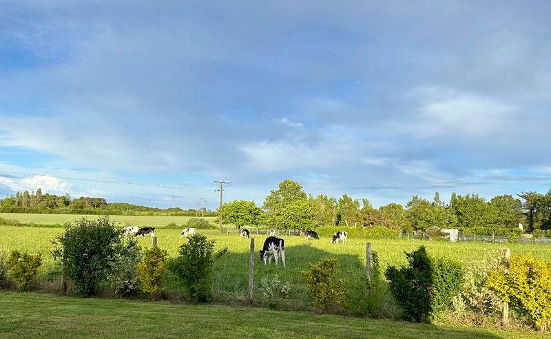 Frédérique-Anne M.