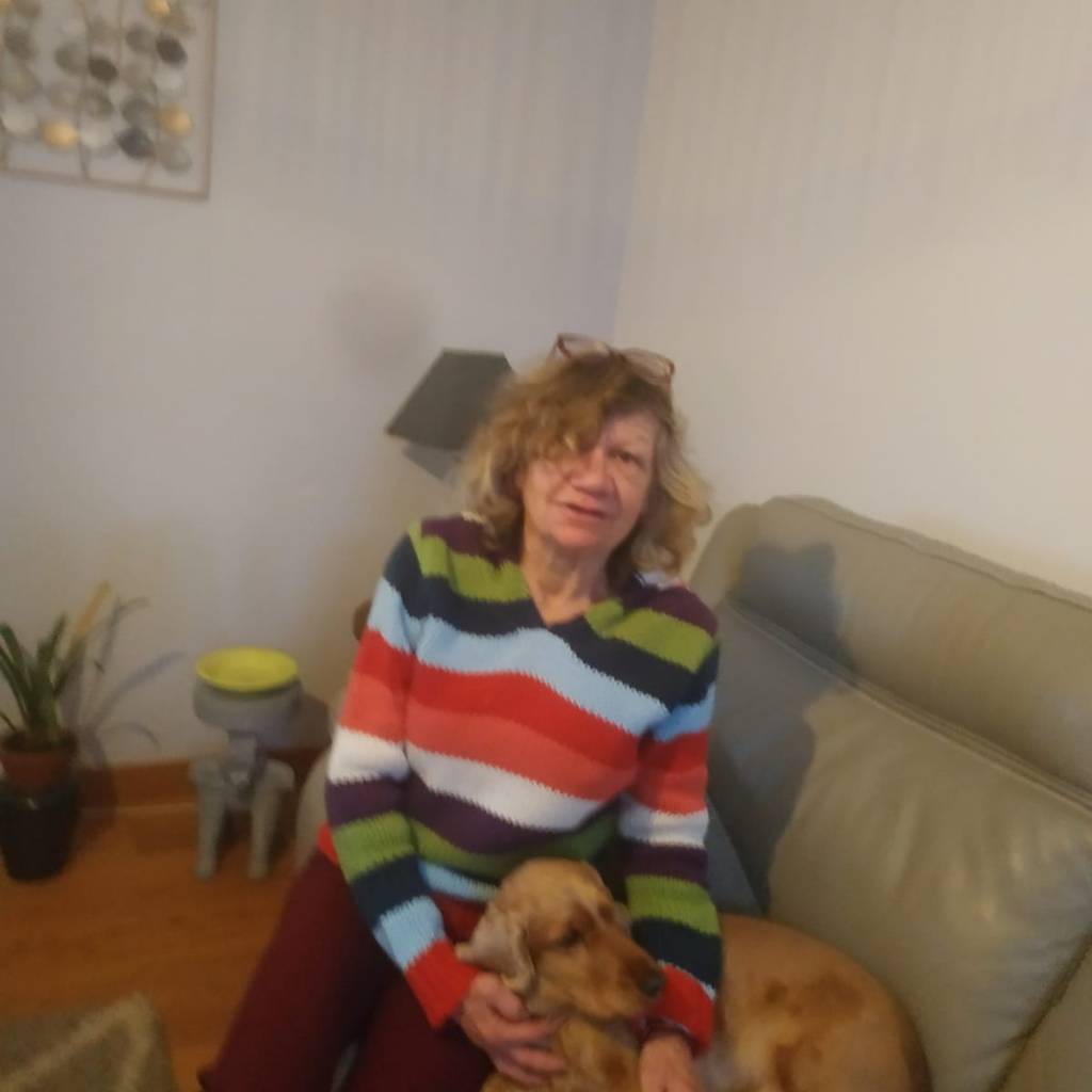 Retraitée propose heures de garde en périscolaire