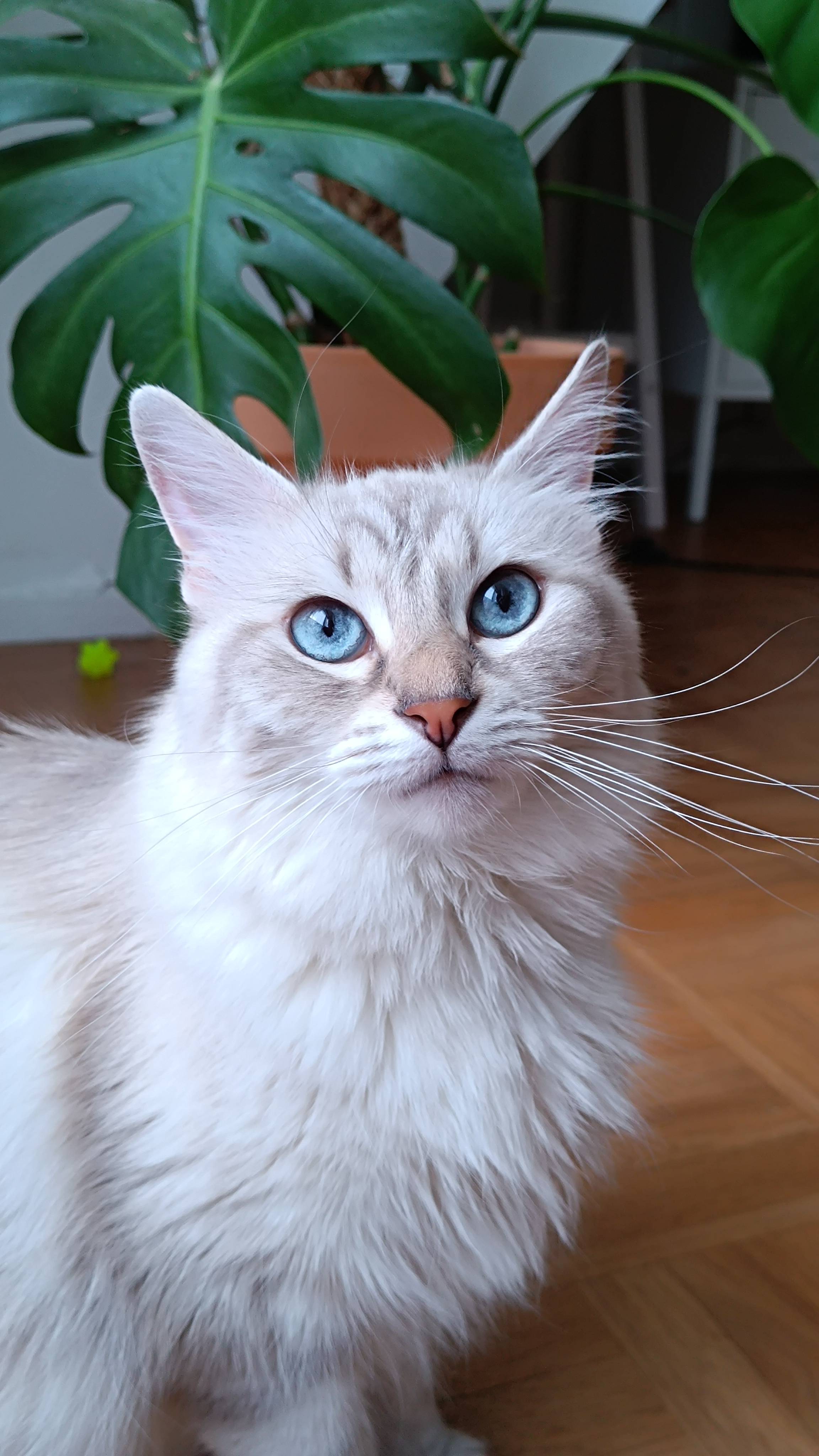 Béatrice