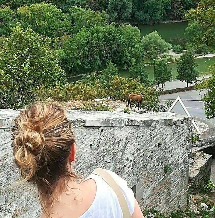 Pauline