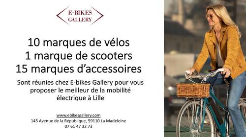 Vends vélos et scooters électriques