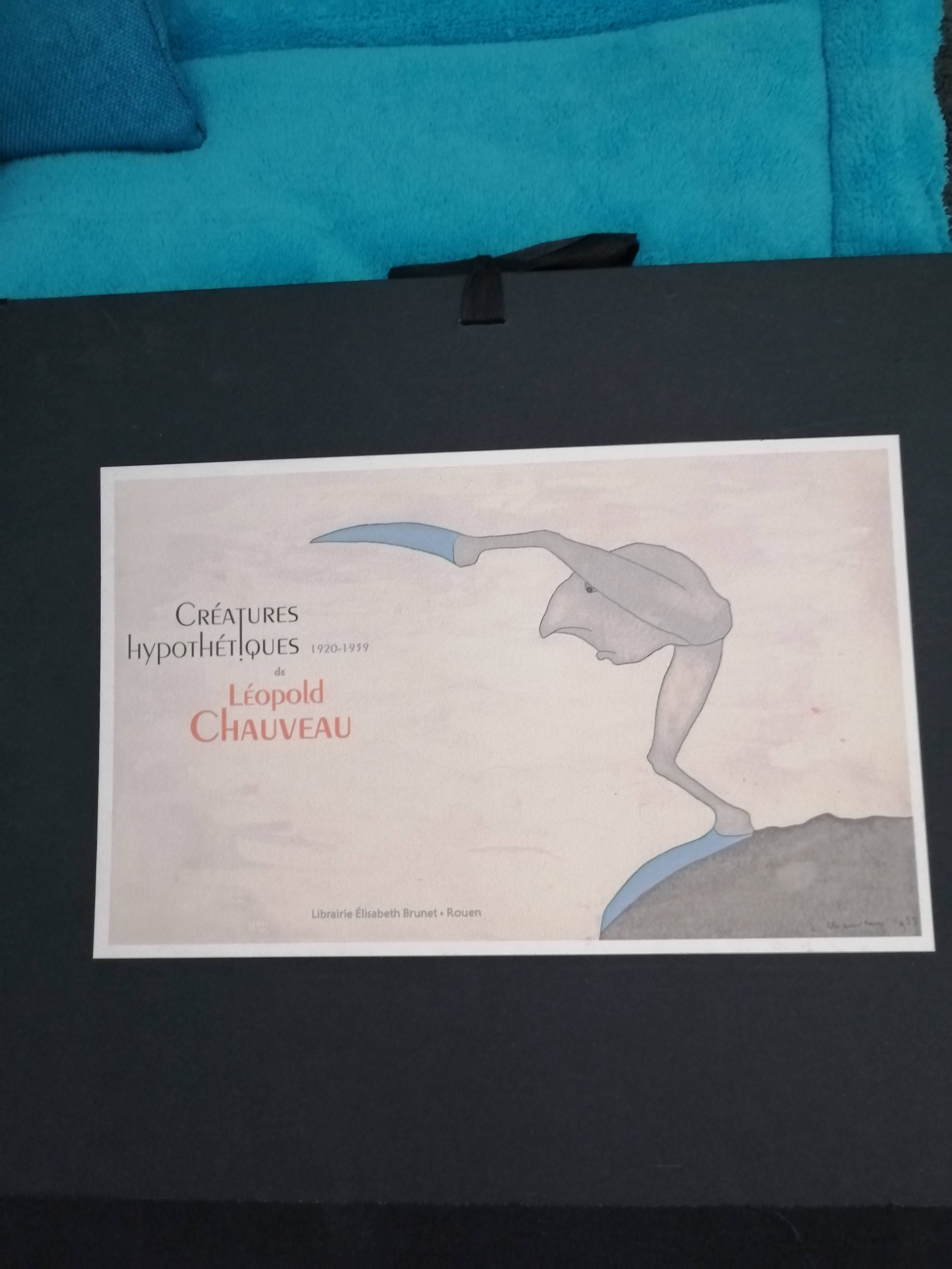 Créatures Hypothétiques – Léopold Chauveau