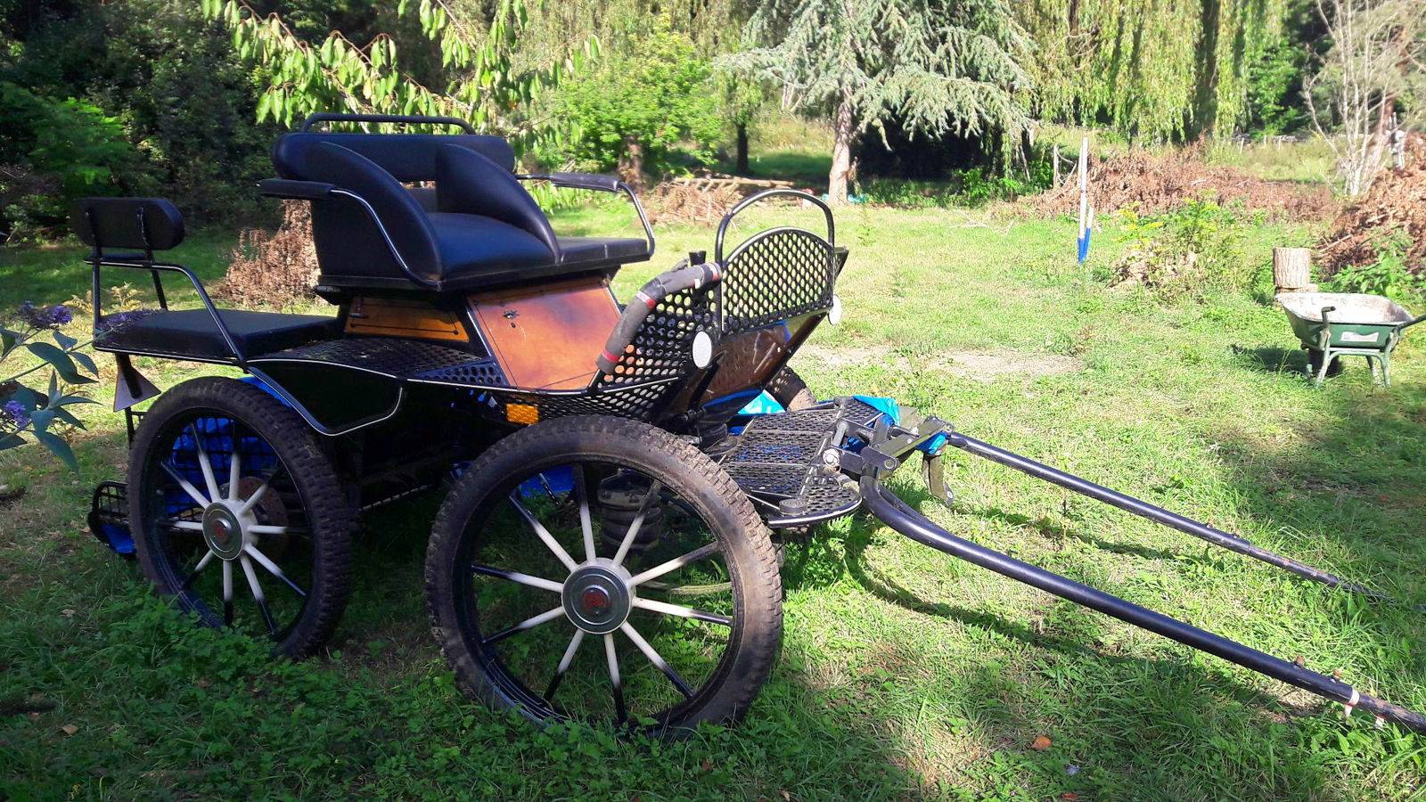 Columbus Calèche/harnais/Ohio/buggies/chariots/phétons/harnais Cheval - Occasion
