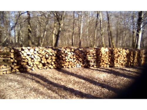 Vends bois de chauffage, bois blanc et bois dur