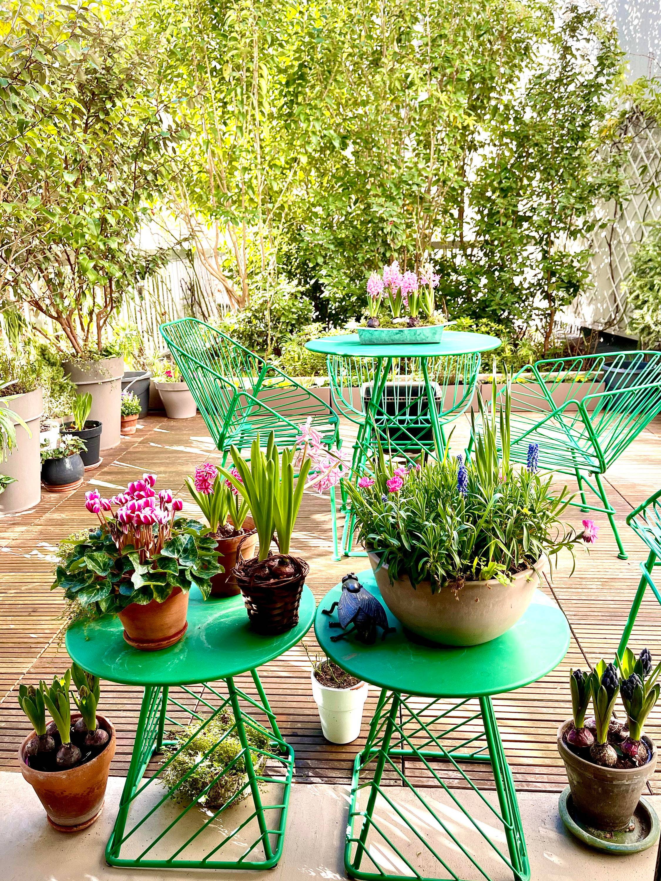 Une photo de l’annonce