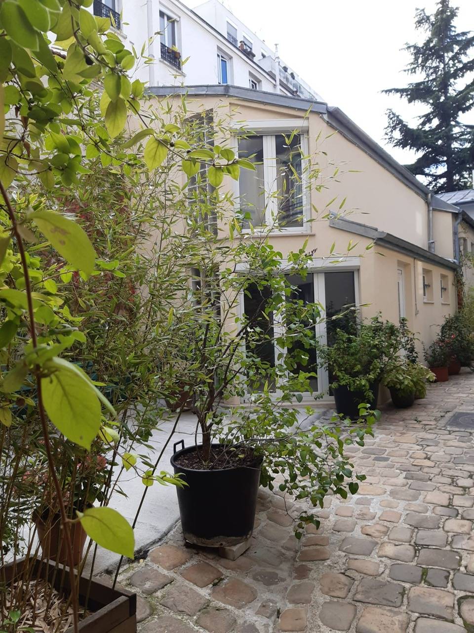 Une photo de l’annonce