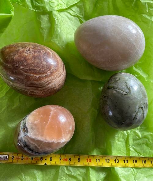 Oeufs de collection