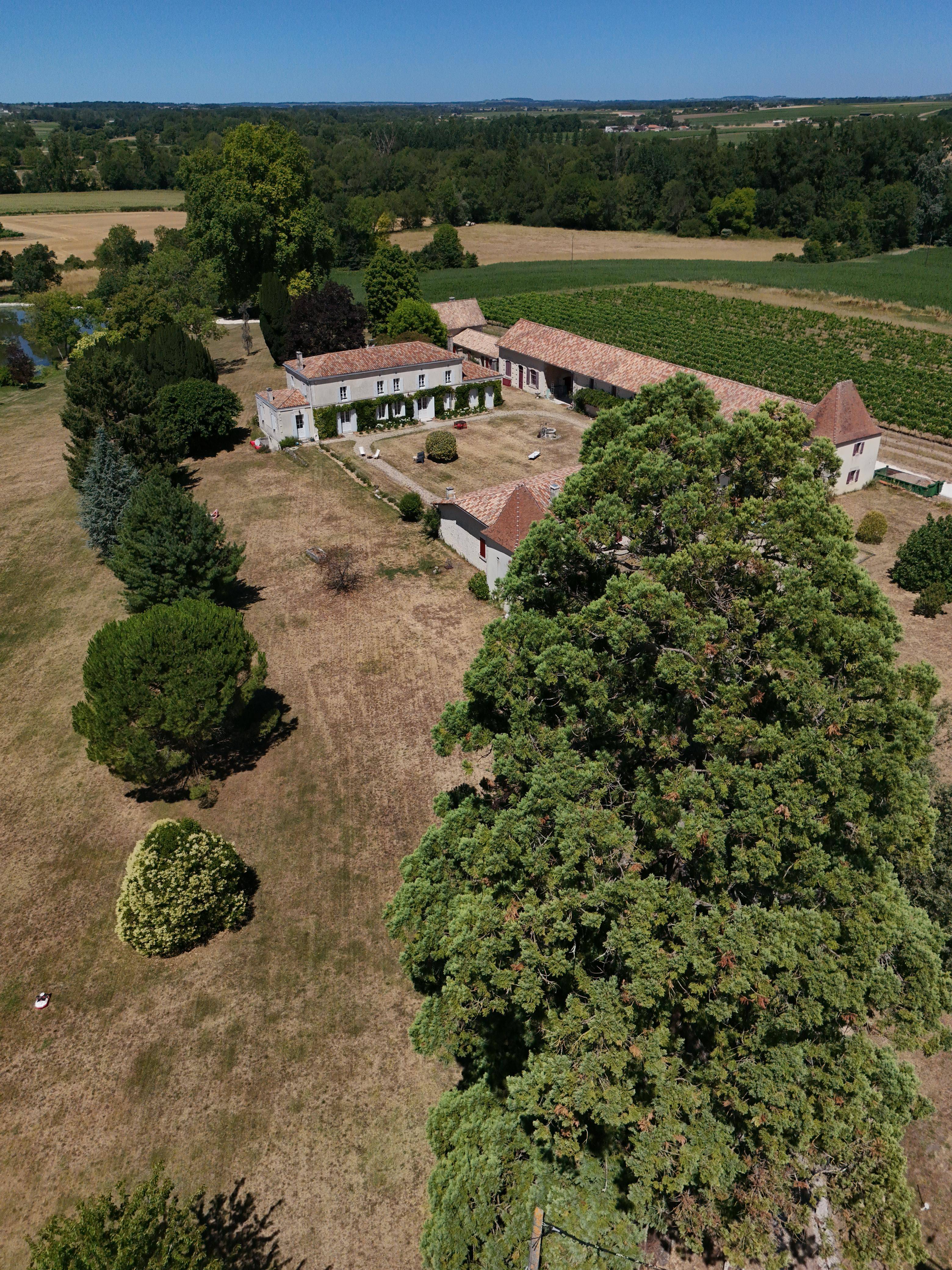 Bénédicte