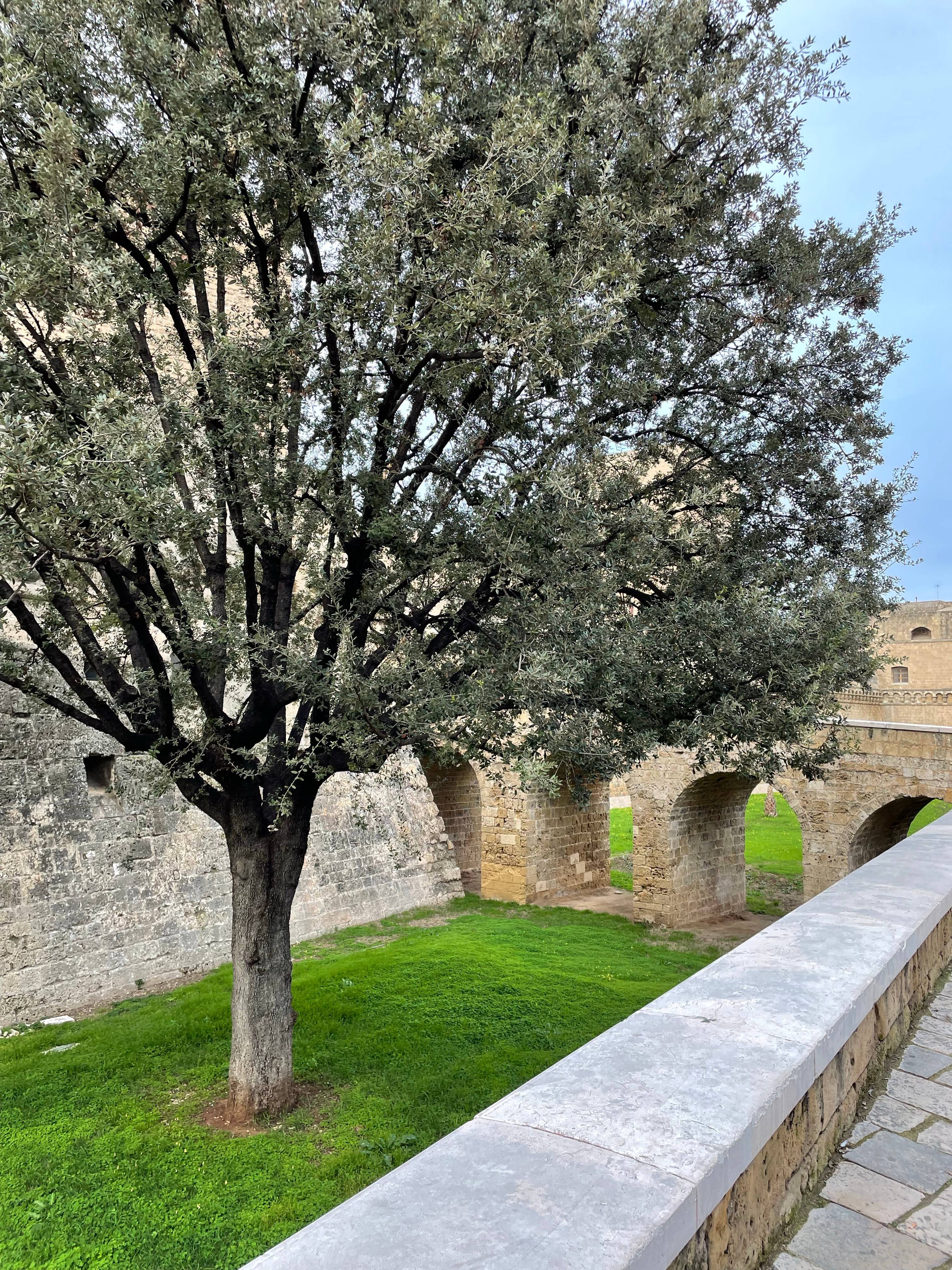 Nathalie