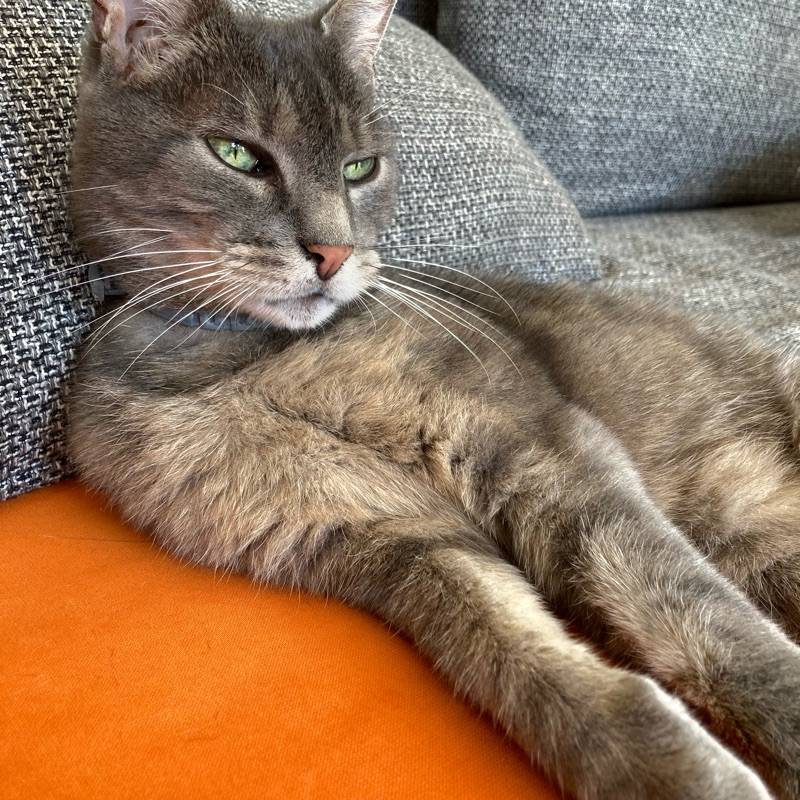 Sylvie