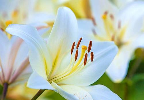 Propose assistante maternelle