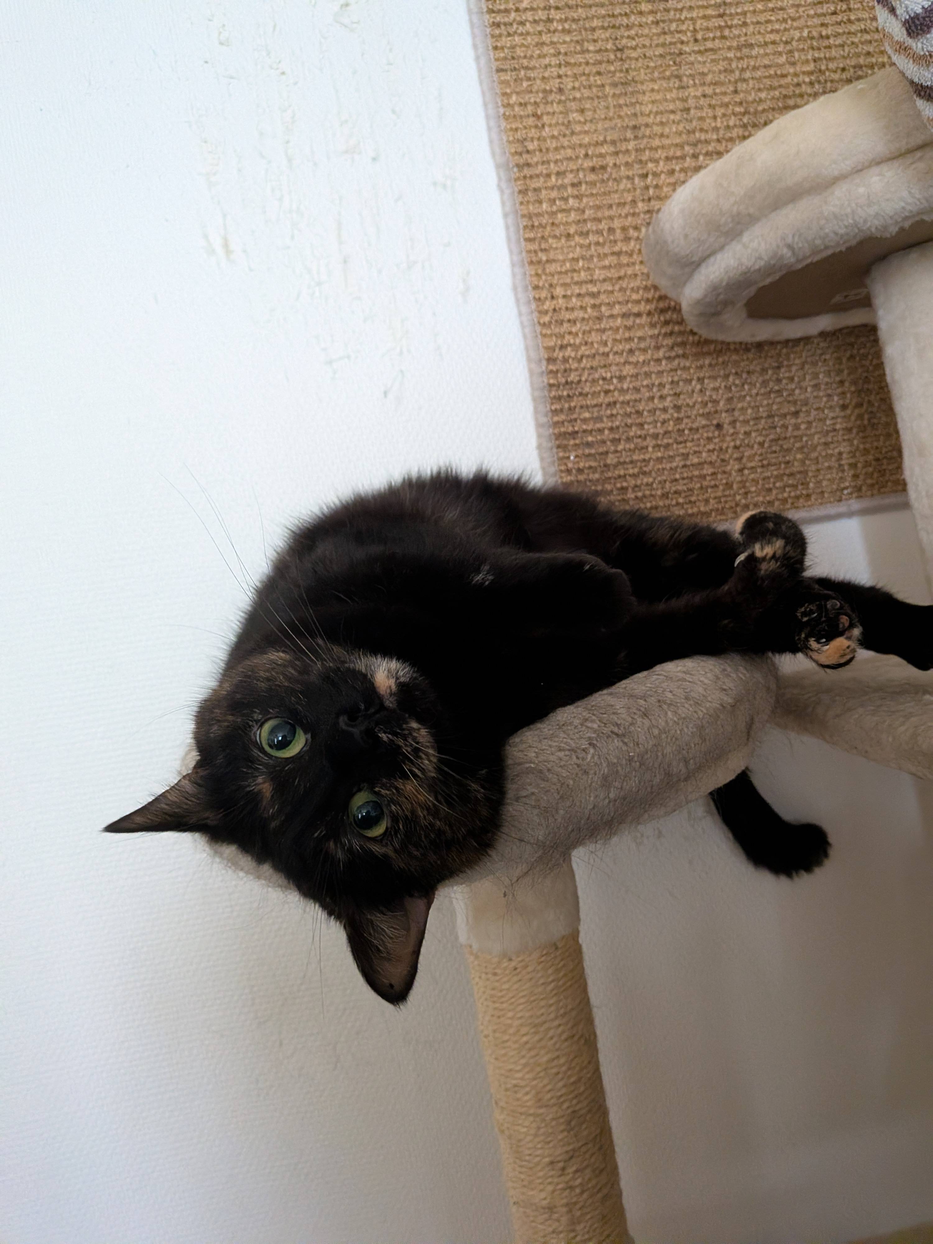 Margot