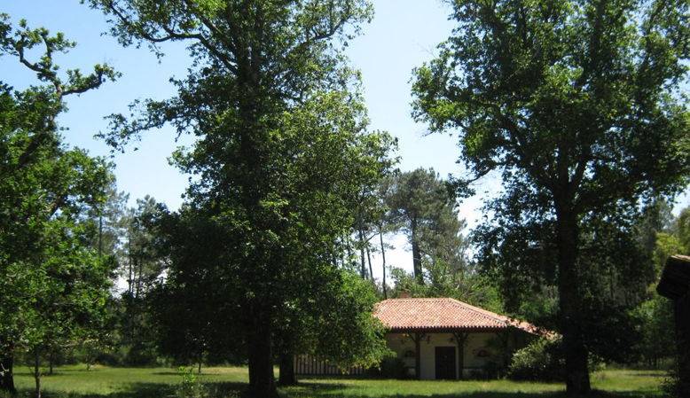 Loue maison landaise au coeur de la forêt - 8 couchages