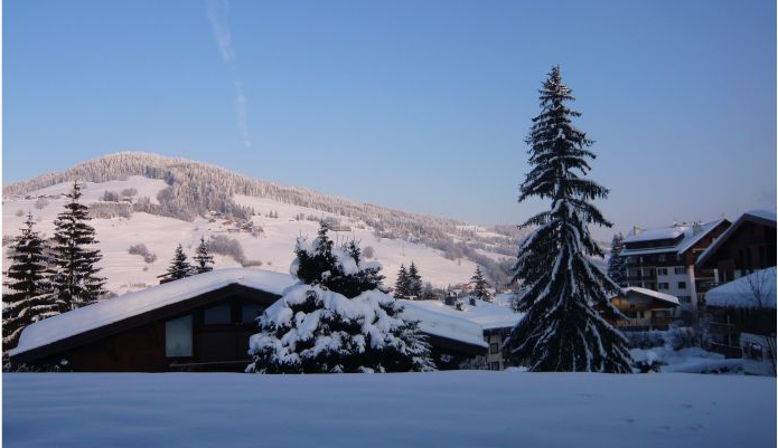 Une photo de l’annonce de location de vacances