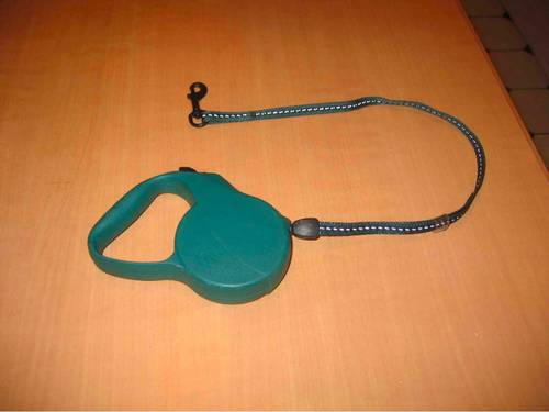 Laisse rétractable verte pour petit chien