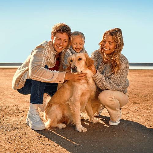 300€ pour voyager avec votre animal !