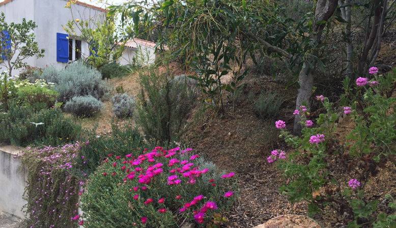Une photo de l’annonce de location de vacances