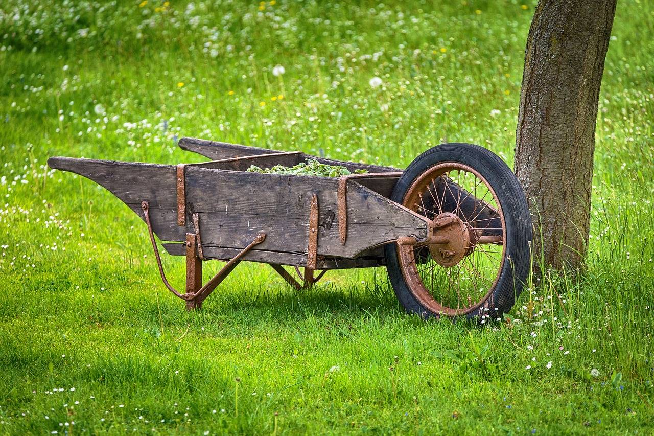 PROPOSITION DE JARDINAGE ET PETITS TRAVAUX