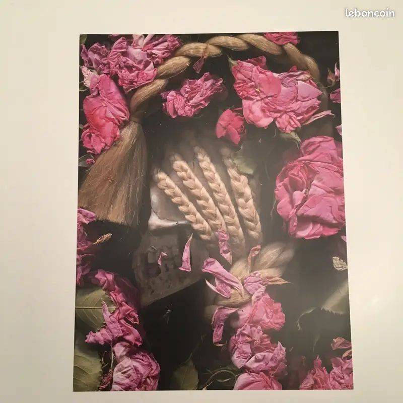 Affiche rose Lucie Stahl