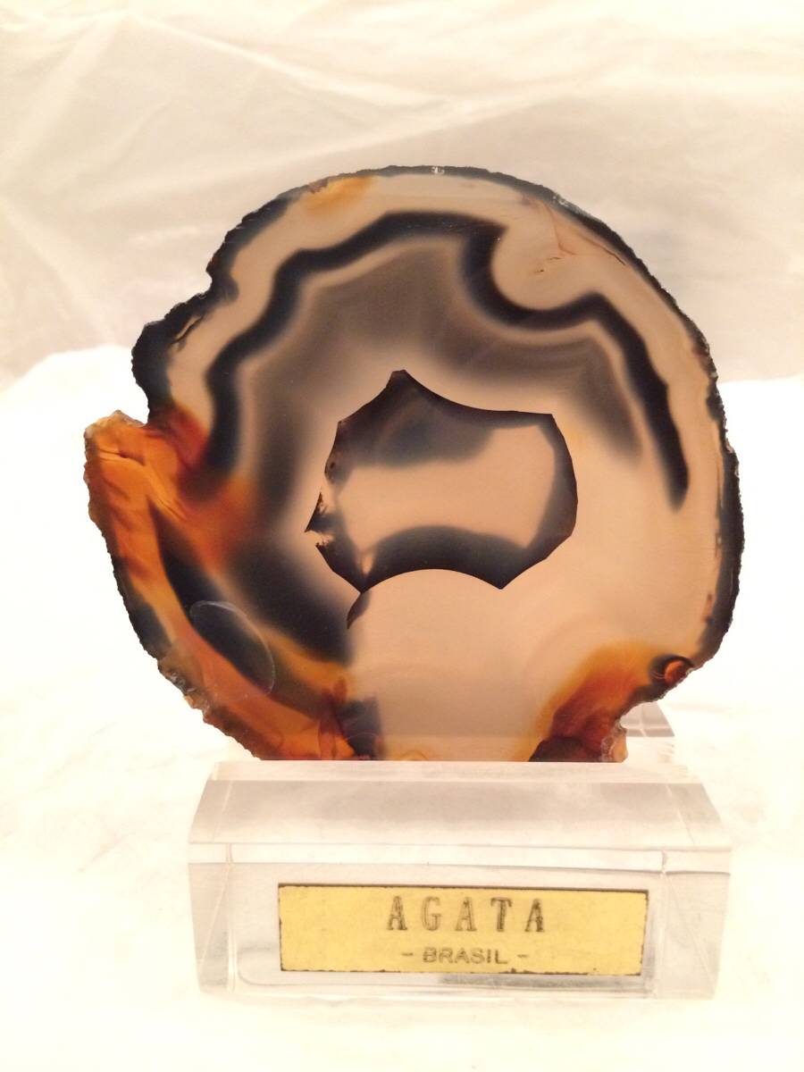 Agathe, origine Brésil