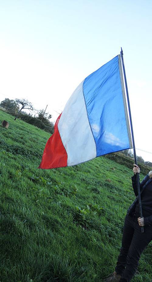Ancien Drapeau / Étendard Tricolore Français