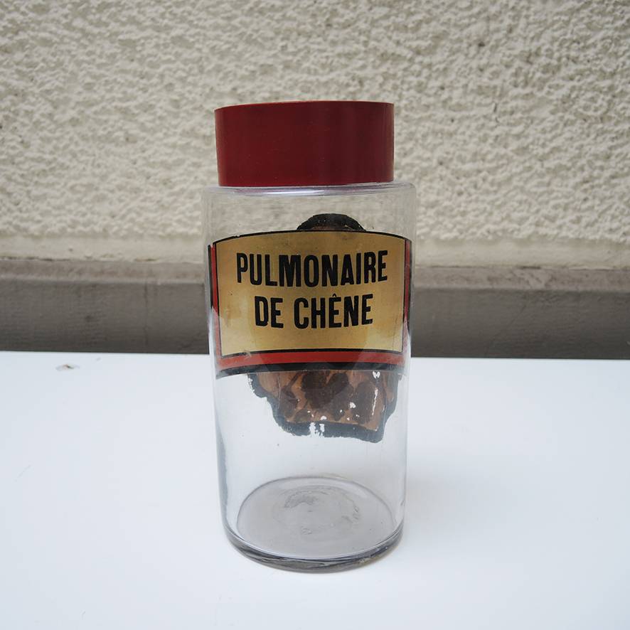 Vends ancien pot à pharmacie / flacon apothicaire XL pulmonaire de chêne