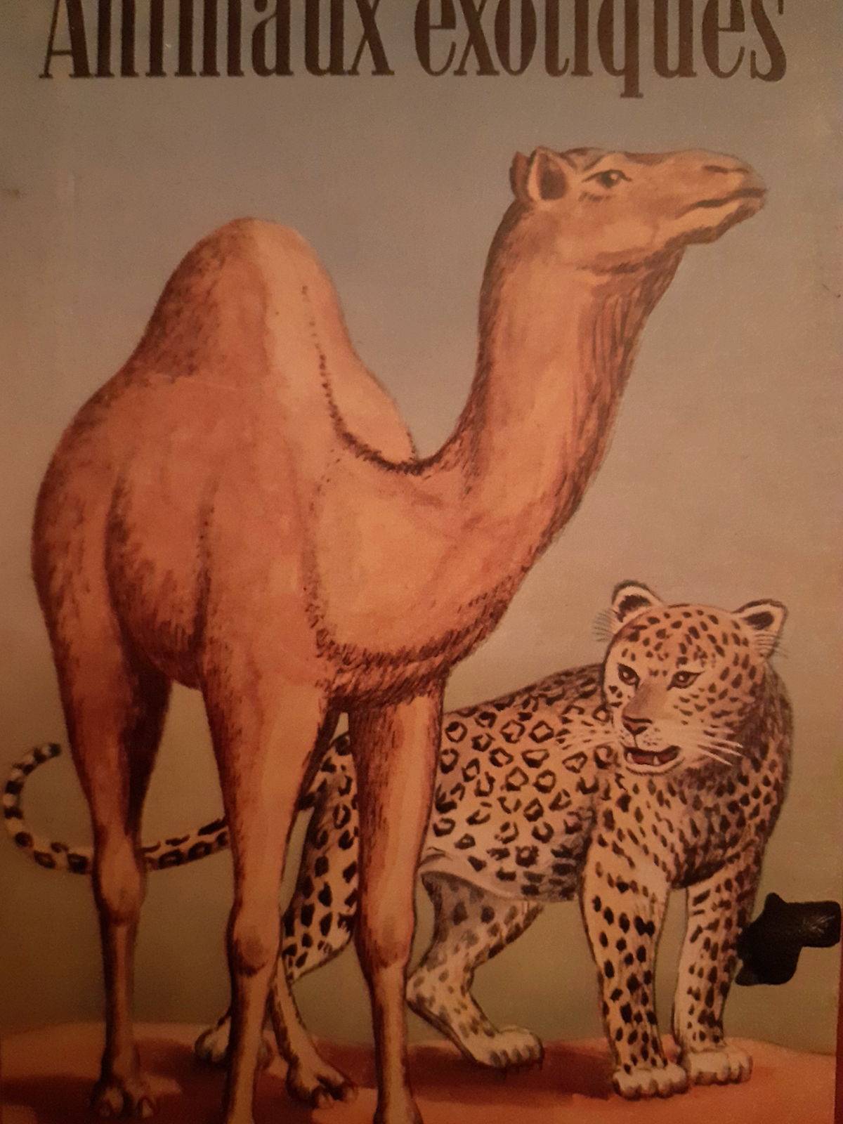 Animaux exotiques Années 50/60