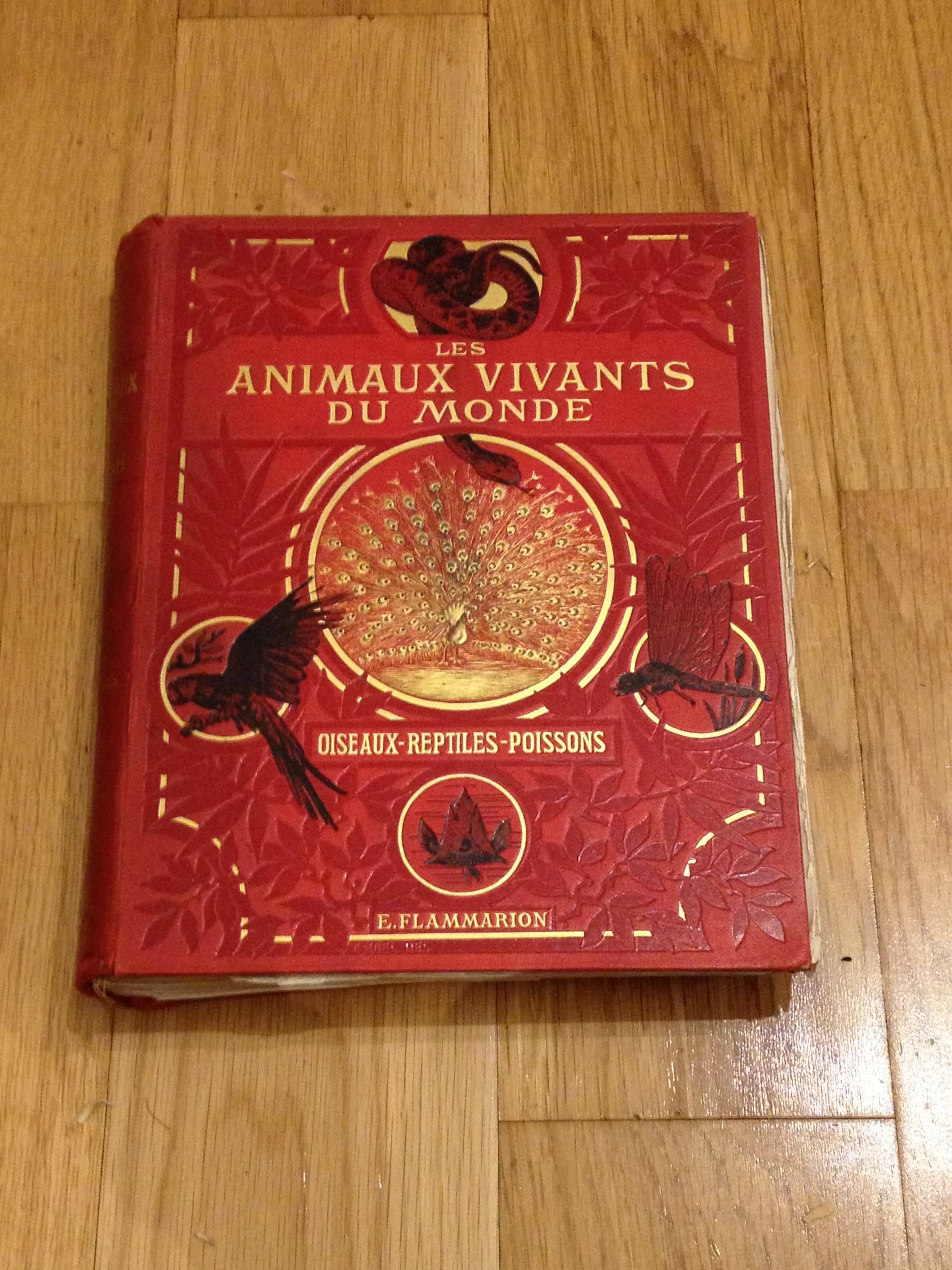 Propose livre : Les Animaux Vivants Du Monde Oiseaux - Reptiles - Poissons - Ernest Flammarion - 1906